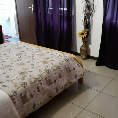 Houston - Esclusivamente Turistica - Not For Business Or Workers 리보르노